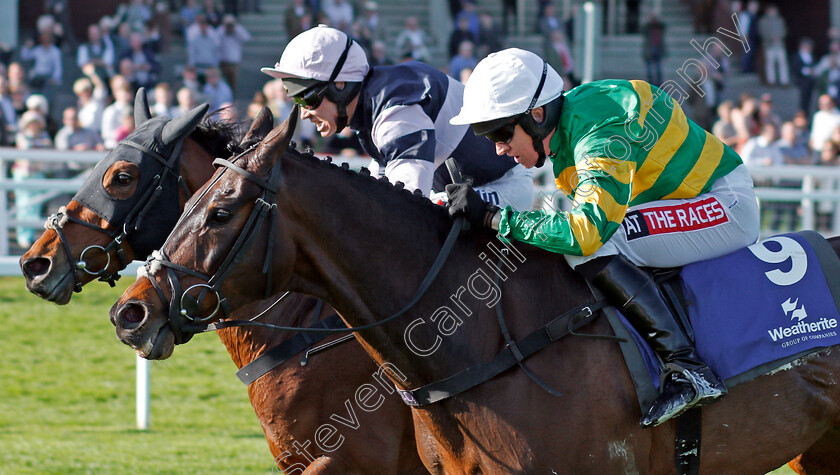 Another-Hero-0006 
 ANOTHER HERO (right, Barry Geraghty) beats SINGLEFARMPAYMENT (left) in The Weatherite Handicap Chase Cheltenham 18 Apr 2018 - Pic Steven Cargill / Racingfotos.com