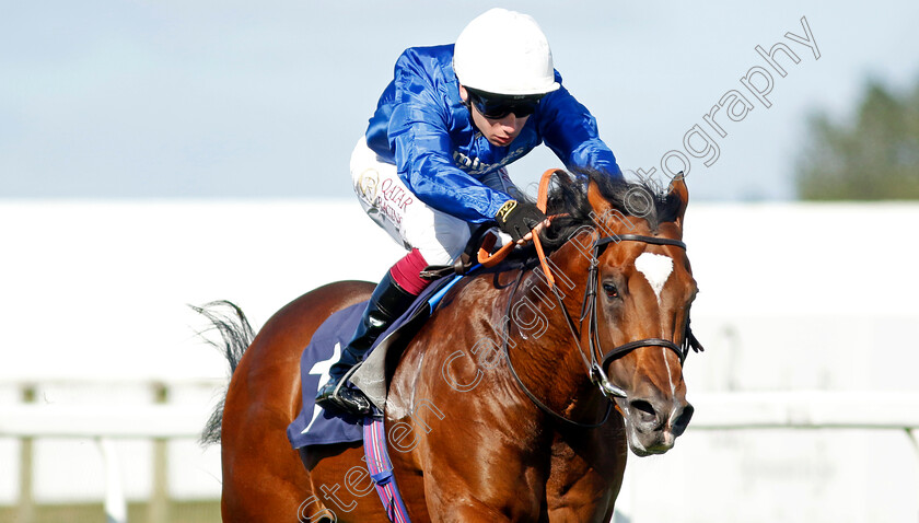 Midnight-Thunder-0003 
 MIDNIGHT THUNDER (Oisin Murphy) wins The British Stallion Studs EBF Novice Stakes
Yarmouth 17 Sep 2024 - Pic Steven Cargill / Racingfotos.com