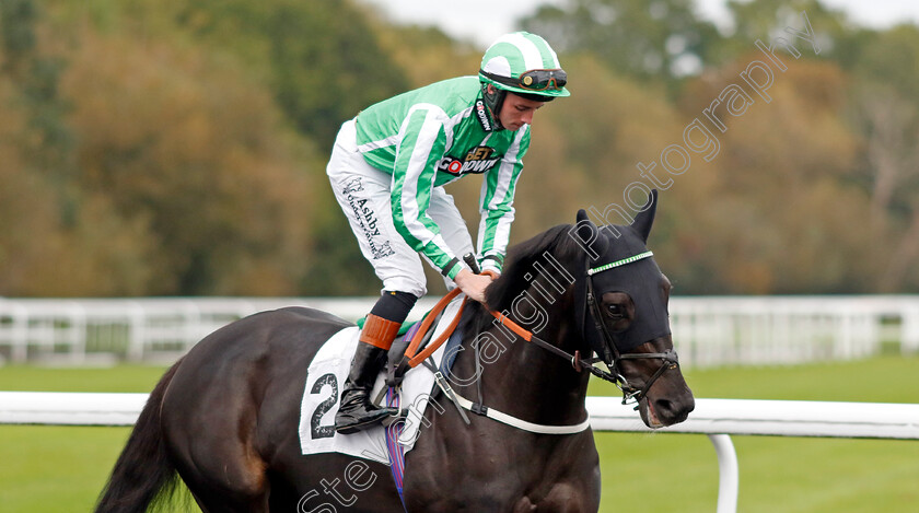 Naomhi-0002 
 NAOMHI (Rossa Ryan)
Kempton 2 Oct 2024 - pic Steven Cargill / Racingfotos.com