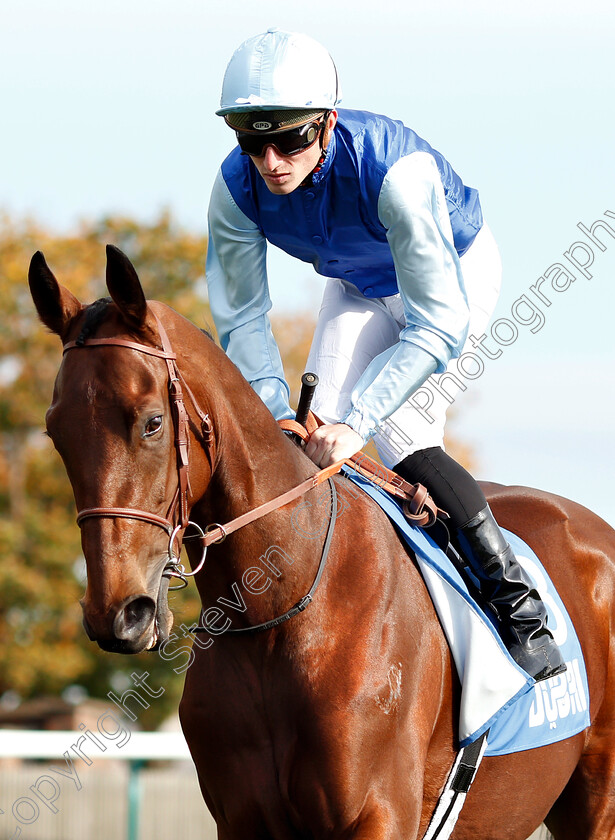 Persian-King-0004 
 PERSIAN KING (Pierre-Charles Boudot) before The Masar Godolphin Autumn Stakes
Newmarket 13 Oct 2018 - Pic Steven Cargill / Racingfotos.com