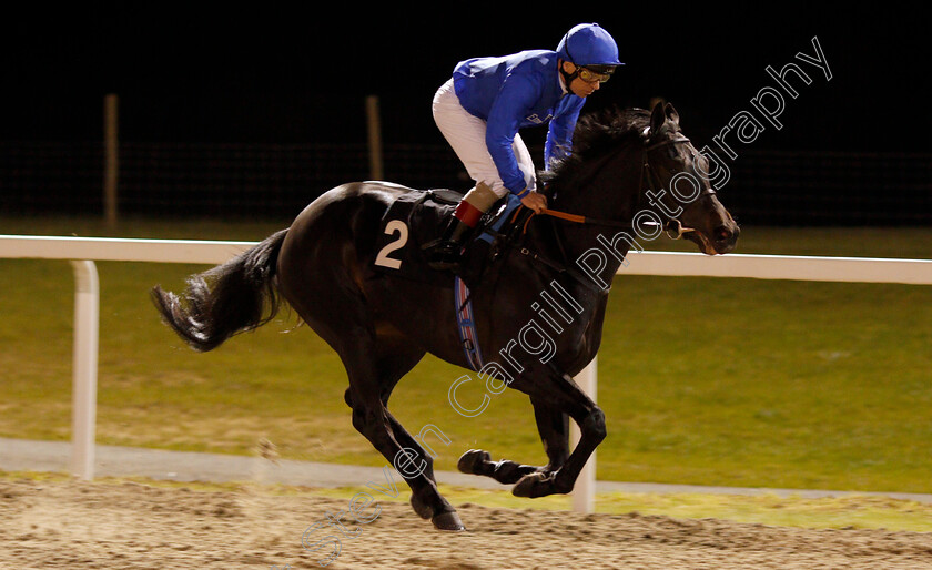 Future-Score-0001 
 FUTURE SCORE (Jimmy Quinn) Chelmsford 23 Nov 2017 - Pic Steven Cargill / Racingfotos.com