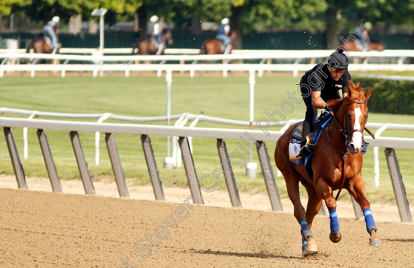 Justify-0004 
 JUSTIFY exercising in preparation for The Belmont Stakes
Belmont Park 8 Jun 2018 - Pic Steven Cargill / Racingfotos.com