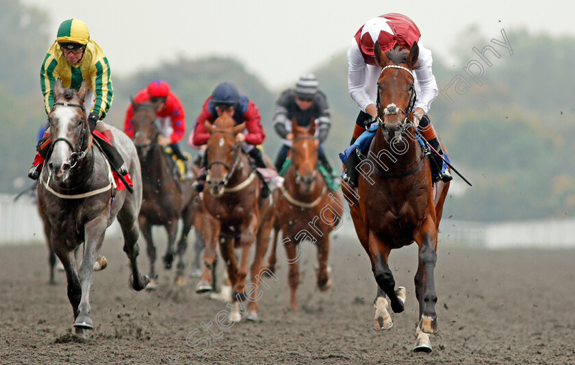 Graffiti-Master-0009 
 GRAFFITI MASTER (right, James Doyle) beats BAILEYS EXCELERATE (left) in The Matchbook British Stallion Studs EBF Novice Stakes Kempton 25 Sep 2017 - Pic Steven Cargill / Racingfotos.com