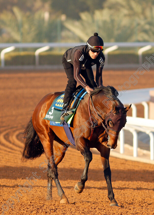 Country-Grammer-0001 
 COUNTRY GRAMMER training for The Saudi Cup
King Abdulaziz Racetrack, Riyadh, Saudi Arabia 22 Feb 2022 - Pic Steven Cargill / Racingfotos.com