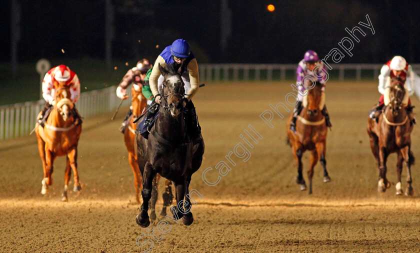 Album-0006 
 ALBUM (Richard Kingscote) wins The Play 4 To Score At Betway Handicap
Wolverhampton 4 Jan 2021 - Pic Steven Cargill / Racingfotos.com