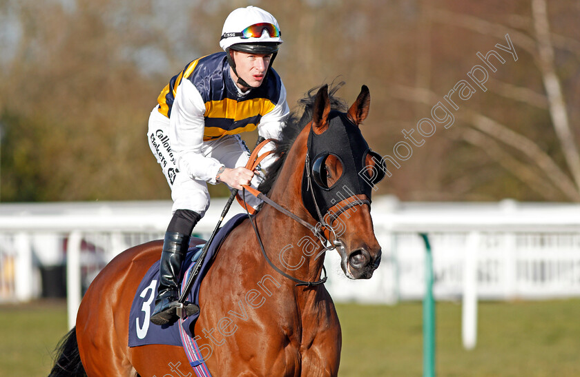 Burrumbeet-0001 
 BURRUMBEET (Richard Kingscote) winner of The Play Jackpot Games At sunbets.co.uk/vegas Novice Stakes Lingfield 16 Feb 2018 - Pic Steven Cargill / Racingfotos.com