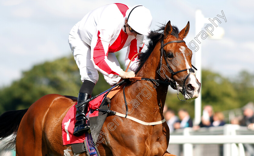 Goshen-0007 
 GOSHEN (Hector Crouch) wins The Carpetright Supports The BHF Handicap
Sandown 14 Jun 2019 - Pic Steven Cargill / Racingfotos.com