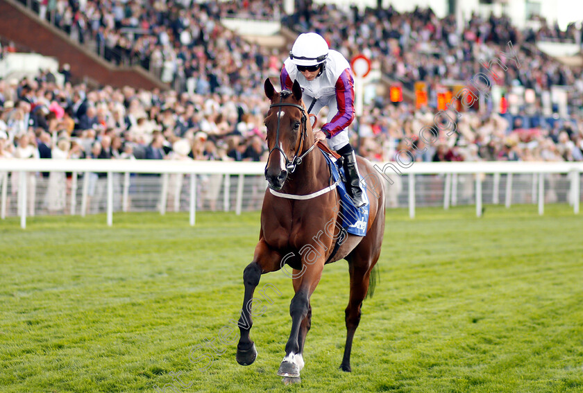 Laurens-0001 
 LAURENS (P J McDonald)
York 23 Aug 2018 - Pic Steven Cargill / Racingfotos.com