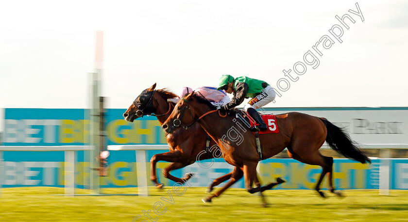 Glorious-Forever-0004 
 GLORIOUS FOREVER (Pat Cosgrave) beats SWILLY SUNSET (right) in The BetBright Handicap Sandown 2 Sep 2017 - Pic Steven Cargill / Racingfotos.com