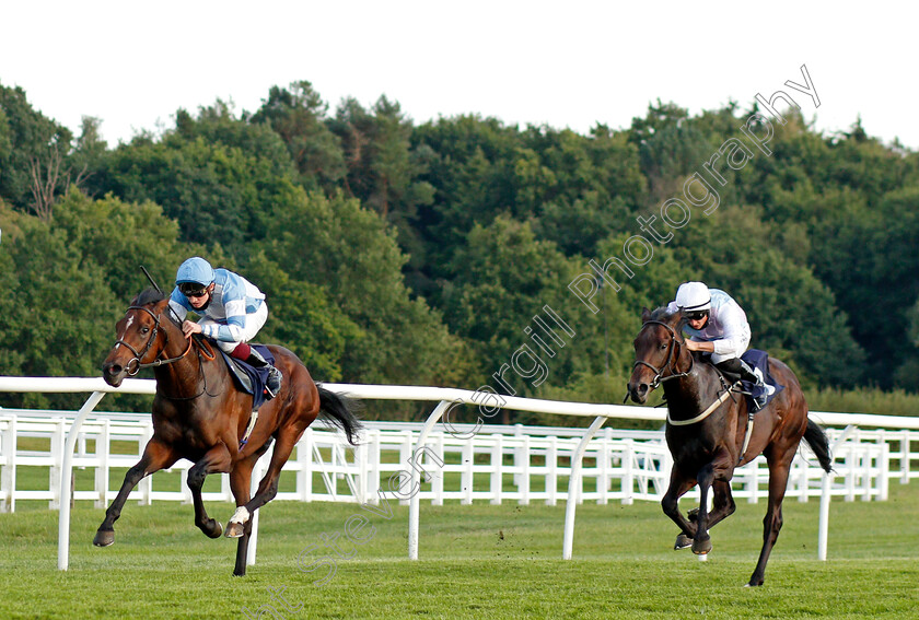 Patient-Dream-0002 
 PATIENT DREAM (Rob Hornby) beats GREYSTOKE (right) in The Betway British Stallion Studs EBF Novice Median Auction Stakes Div2
Lingfield 26 Aug 2020 - Pic Steven Cargill / Racingfotos.com