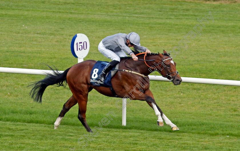 Flight-Plan-0002 
 FLIGHT PLAN (Daniel Tudhope) wins The Dullingham Park Stakes
Leopardstown 9 Sep 2023 - Pic Steven Cargill / Racingfotos.com