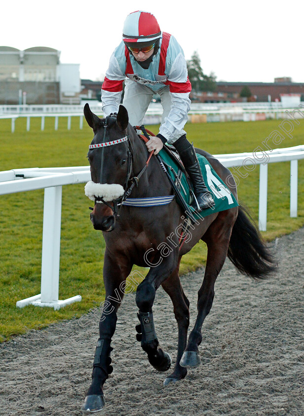 Grandeur-D Ame-0001 
 GRANDEUR D'AME (Gavin Sheehan)
Cheltenham 15 Nov 2020 - Pic Steven Cargill / Racingfotos.com