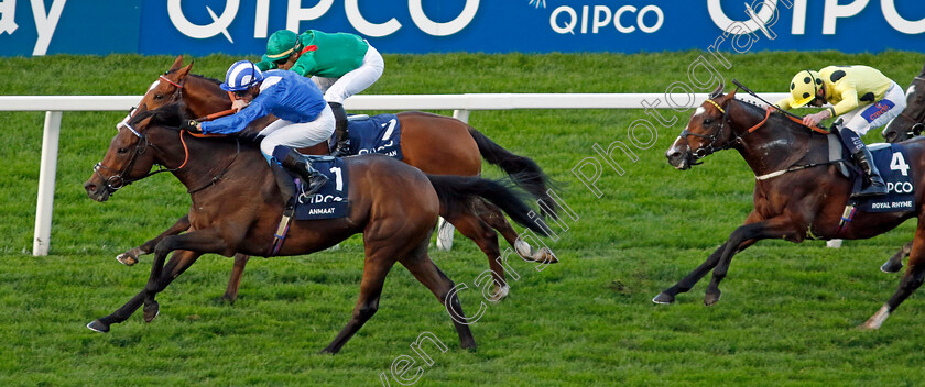 Anmaat-0007 
 ANMAAT (Jim Crowley) wins The Qipco Champion Stakes
Ascot 19 Oct 2024 - Pic Steven Cargill / Racingfotos.com