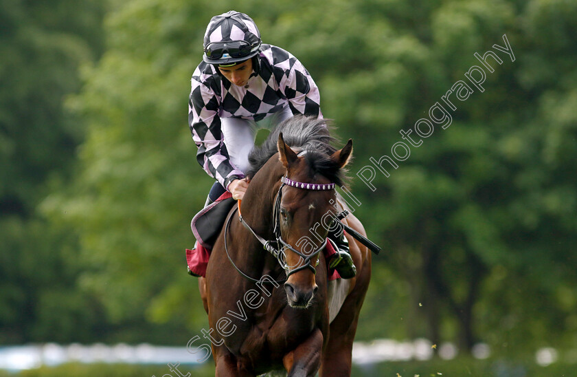 Go-Bears-Go-0002 
 GO BEARS GO (Rossa Ryan)
Haydock 21 May 2022 - Pic Steven Cargill / Racingfotos.com