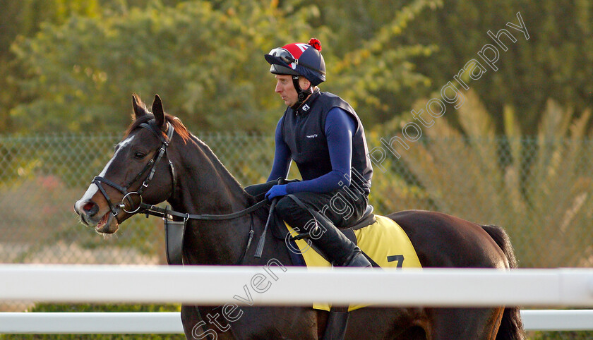 Pyledriver-0005 
 PYLEDRIVER training for the Turf Cup
King Abdulaziz Racetrack, Riyadh, Saudi Arabia 24 Feb 2022 - Pic Steven Cargill / Racingfotos.com