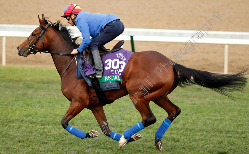 Enable-0005 
 ENABLE (Frankie Dettori) exercising ahead of The Breeders' Cup Turf
Churchill Downs 31 Oct 2018 - Pic Steven Cargill / Racingfotos.com