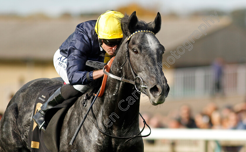 Bodorgan-0001 
 BODORGAN (Ryan Moore) wins The British Stallion Studs EBF Novice Stakes Div2
Newmarket 28 Oct 2022 - Pic Steven Cargill / Racingfotos.com