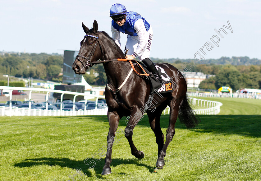 Awesometank-0001 
 AWESOMETANK (Tom Marquand)
Sandown 1 Sep 2018 - PIc Steven Cargill / Racingfotos.com