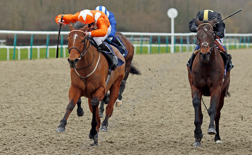 Goring-0004 
 GORING (left, Charles Bishop) beats SPIRIT WARNING (right) in The Bombardier March To Your Own Drum Handicap
Lingfield 22 Feb 2020 - Pic Steven Cargill / Racingfotos.com