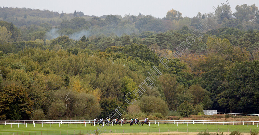 Ascot-0001 
 Horses race around Swinley Bottom during The Londonmetric Noel Murless Stakes won by HEREBY
Ascot 4 Oct 2019 - Pic Steven Cargill / Racingfotos.com