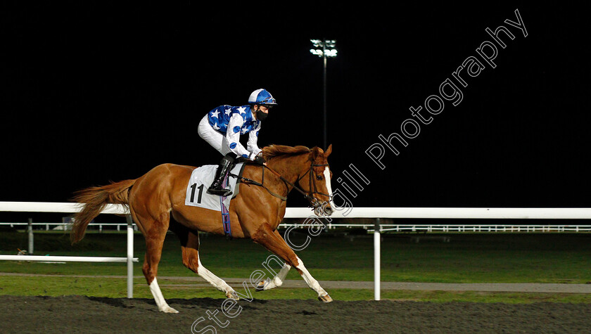 Party-Island-0001 
 PARTY ISLAND (George Bass)
Kempton 24 Feb 2021 - Pic Steven Cargill / Racingfotos.com