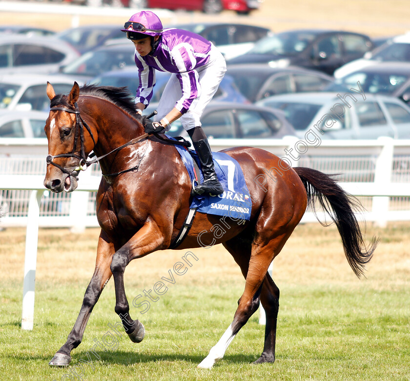 Saxon-Warrior-0003 
 SAXON WARRIOR (Donnacha O'Brien)
Sandown 7 Jul 2018 - Pic Steven Cargill / Racingfotos.com