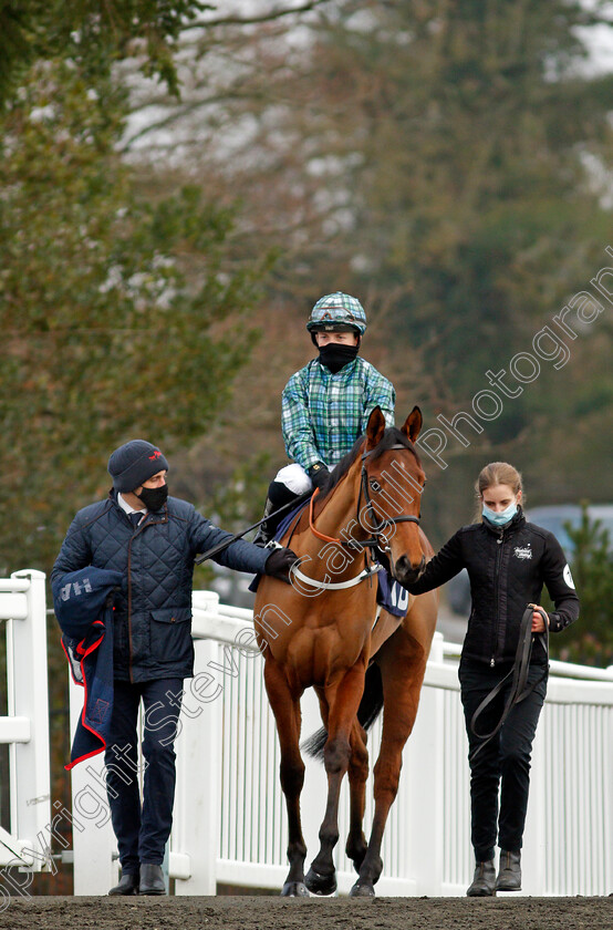 Who-Cares-Wins-0001 
 WHO CARES WINS (Hollie Doyle)
Lingfield 9 Jan 2021 - Pic Steven Cargill / Racingfotos.com