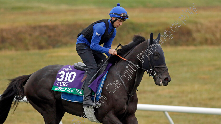 Rebel s-Romance-0003 
 REBEL'S ROMANCE training for the Breeders' Cup Turf
Keeneland USA 1 Nov 2022 - Pic Steven Cargill / Racingfotos.com