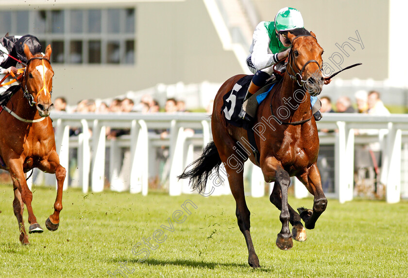 Mountain-Angel-0004 
 MOUNTAIN ANGEL (David Egan) wins The Manny Mercer Apprentice Handicap Ascot 2 May 2018 - Pic Steven Cargill / Racingfotos.com