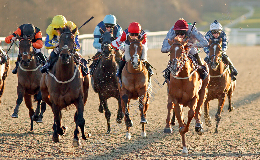 Noble-Peace-0004 
 NOBLE PEACE (left, David Probert) beats AL DAIHA (right) in The Play 4 To Score At Betway Handicap
Lingfield 10 Jan 2020 - Pic Steven Cargill / Racingfotos.com