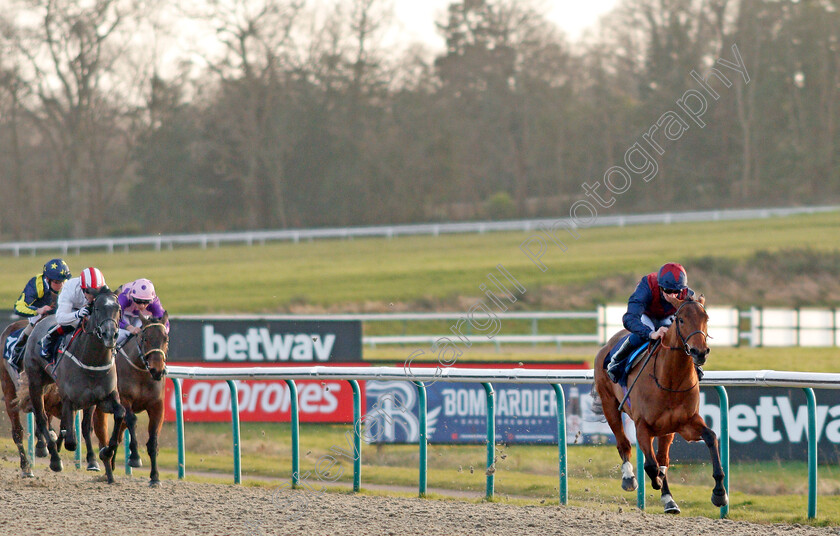 Ahorsecalledwanda-0002 
 AHORSECALLEDWANDA (Joey Haynes) wins The Ladbrokes Where The Nation Plays Fillies Novice Stakes
Lingfield 8 Feb 2020 - Pic Steven Cargill / Racingfotos.com