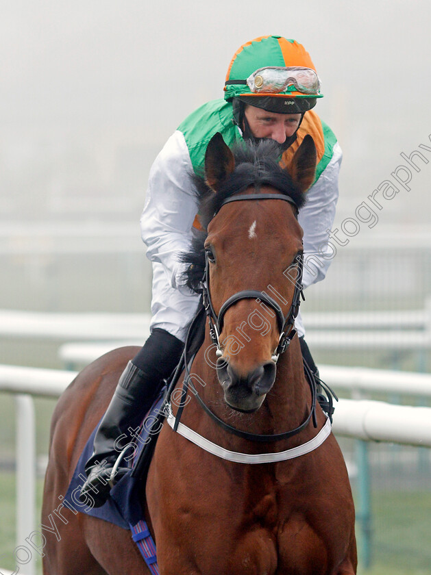 Glinbury-0001 
 GLINBURY (Paul Hanagan)
Doncaster 7 Nov 2020 - Pic Steven Cargill / Racingfotos.com