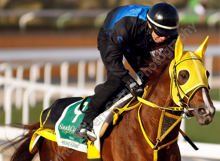 Meisho-Hario-0003 
 MEISHO HARIO training for The Saudi Cup
King Abdulaziz Racecourse, Saudi Arabia 20 Feb 2024 - Pic Steven Cargill / Racingfotos.com