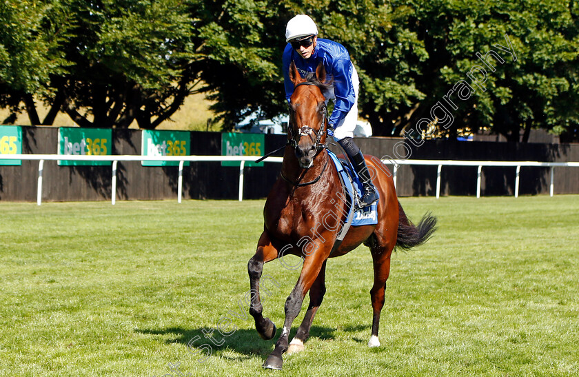 Naval-Crown-0001 
 NAVAL CROWN (James Doyle)
Newmarket 9 Jul 2022 - Pic Steven Cargill / Racingfotos.com