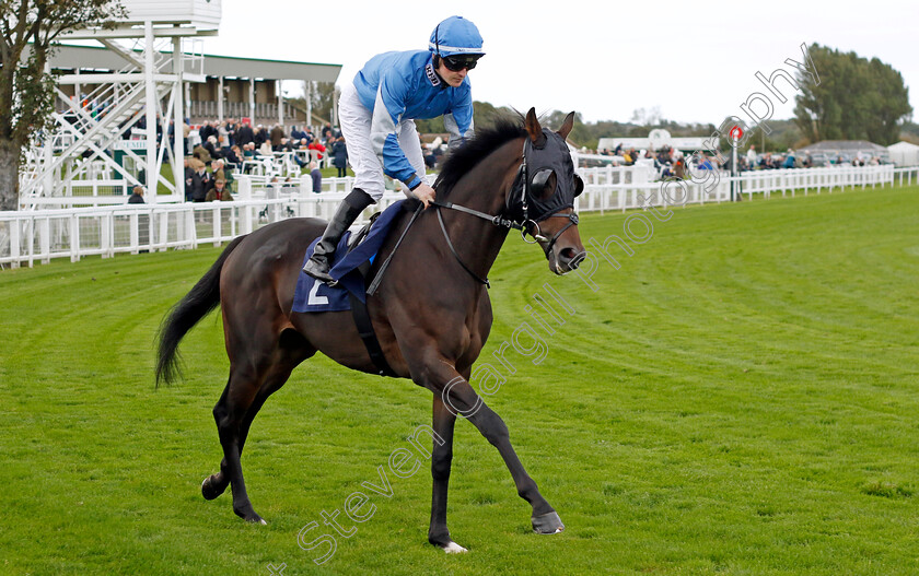 Haarar-0001 
 HAARAR (Dylan Hogan)
Yarmouth 16 Oct 2023 - Pic Steven Cargill / Racingfotos.com