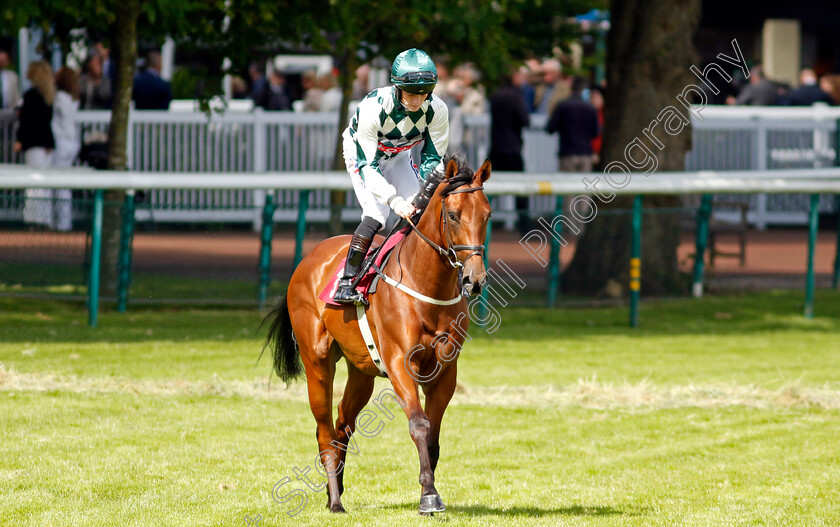 Bigbertiebassett-0002 
 BIGBERTIEBASSETT (Lewis Edmunds)
Haydock 8 Jun 2024 - Pic Steven Cargill / Racingfotos.com