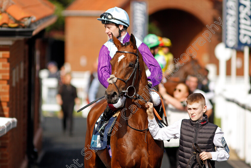 Quickstep-Lady-0002 
 QUICKSTEP LADY (Oisin Murphy)
Newmarket 23 Sep 2021 - Pic Steven Cargill / Racingfotos.com