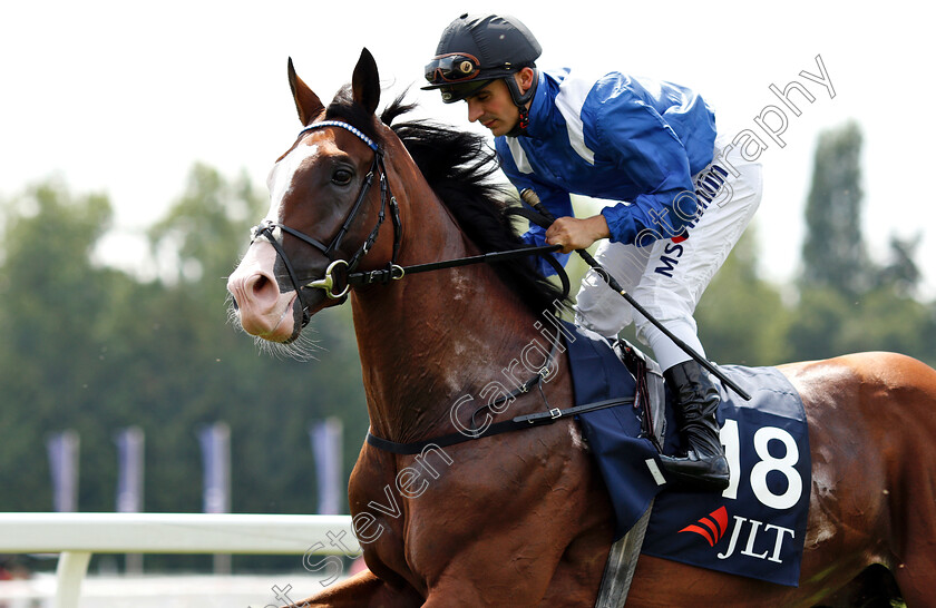 Almoghared-0002 
 ALMOGHARED (Andrea Atzeni)
Newbury 21 Jul 2018 - Pic Steven Cargill / Racingfotos.com