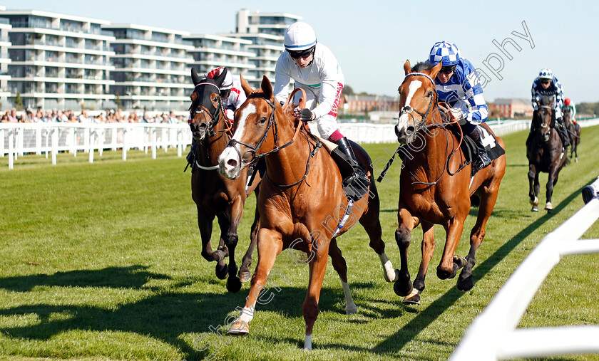 Shailene-0002 
 SHAILENE (Oisin Murphy) beats SOTO SIZZLER (right) in The Dubai Duty Free Handicap
Newbury 20 Sep 2019 - Pic Steven Cargill / Racingfotos.com