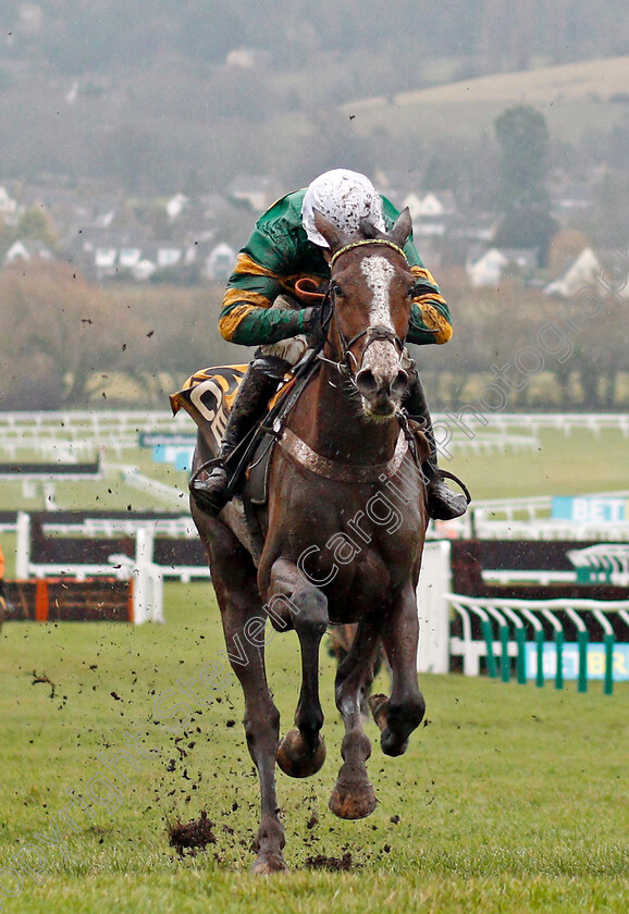 Apple s-Shakira-0003 
 APPLE'S SHAKIRA (Barry Geraghty) wins The JCB Triumph Trial Juvenile Hurdle Cheltenham 27 Jan 2018 - Pic Steven Cargill / Racingfotos.com