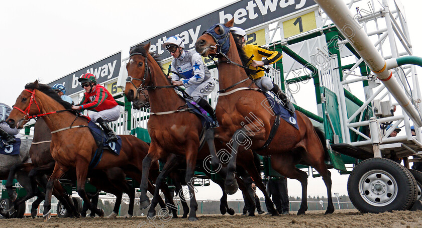 Easy-Tiger-0003 
 EASY TIGER (left, Liam Keniry) breaks with FAYEZ (centre) and TOWERLANDS PARK (right) before winning The Betway Handicap Lingfield 6 Jan 2018 - Pic Steven Cargill / Racingfotos.com