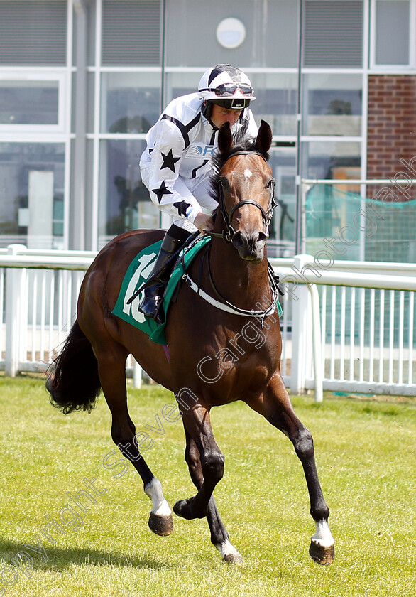 Immokalee-0001 
 IMMOKALEE (Tony Hamilton) 
Thirsk 4 Jul 2018 - Pic Steven Cargill / Racingfotos.com