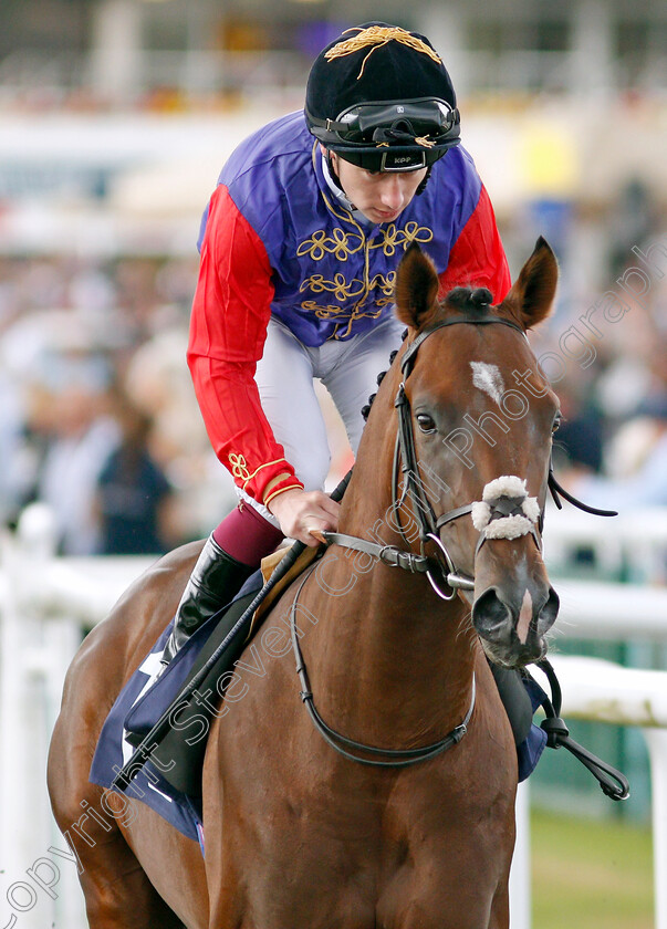 Tack-0001 
 TACK (Oisin Murphy)
Doncaster 10 Sep 2021 - Pic Steven Cargill / Racingfotos.com