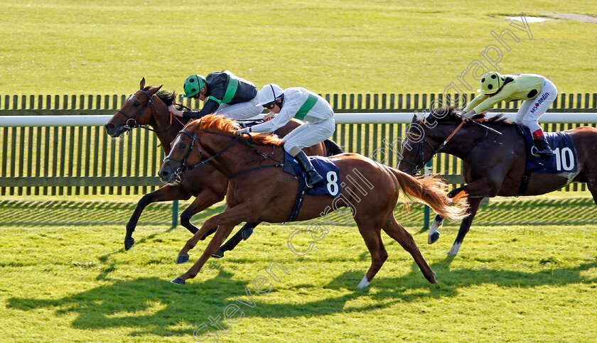 Face-The-Facts-0005 
 FACE THE FACTS (nearside, Ted Durcan) beats NEARLY CAUGHT (farside) and UAE KING (right) in The Jockey Club Rose Bowl Stakes Newmarket 28 Sep 2017 - Pic Steven Cargill / Racingfotos.com