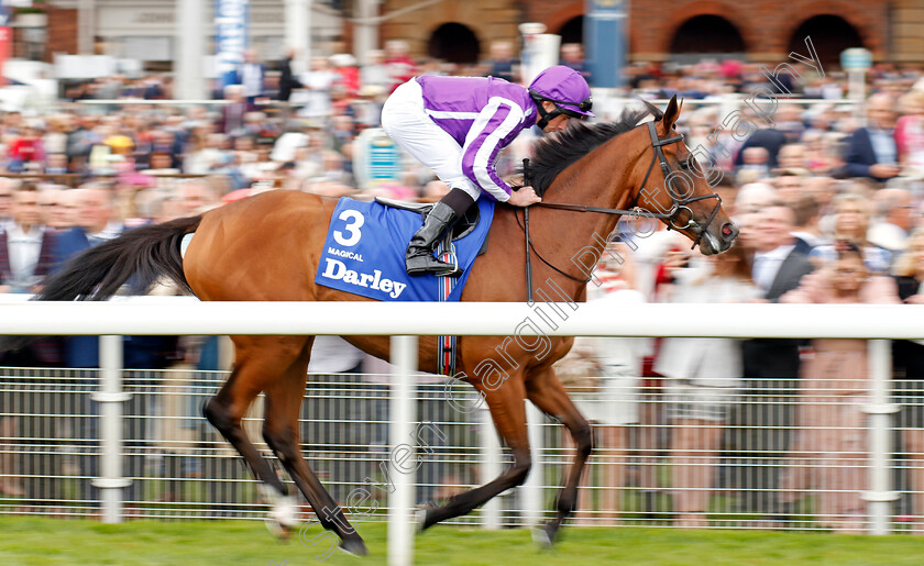 Magical-0001 
 MAGICAL (Ryan Moore)
York 22 Aug 2019 - Pic Steven Cargill / Racingfotos.com