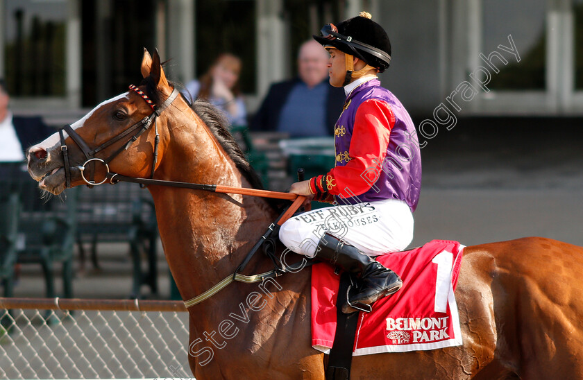 Call-To-Mind-0001 
 CALL TO MIND (Javier Castellano) before The Belmont Gold Cup Invitational Stakes
Belmont Park 8 Jun 2018 - Pic Steven Cargill / Racingfotos.com