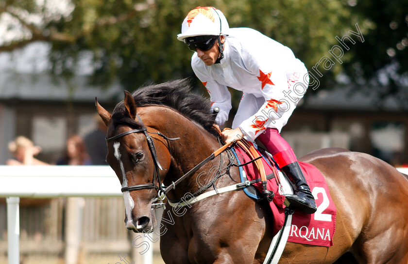 Advertise-0003 
 ADVERTISE (Frankie Dettori) before The Arqana July Stakes
Newmarket 12 Jul 2018 - Pic Steven Cargill / Racingfotos.com