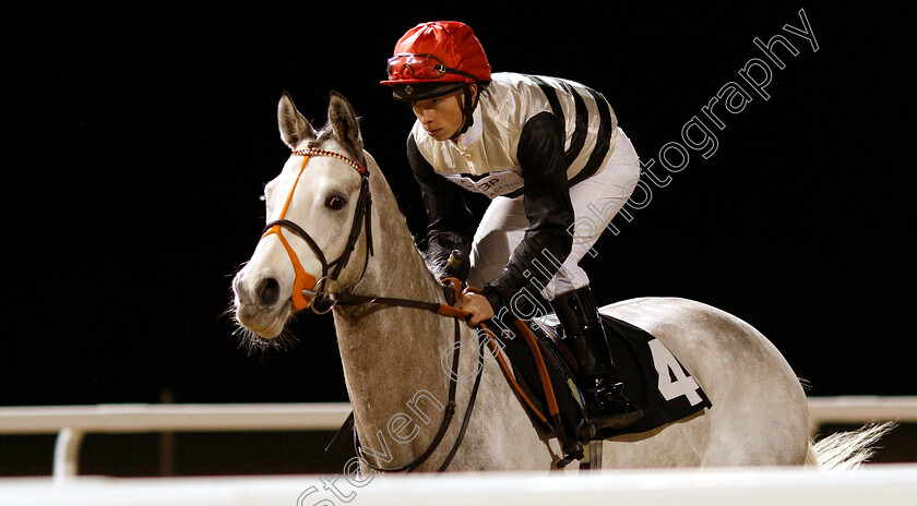 Alabaster-0001 
 ALABASTER (Gavin Ashton)
Chelmsford 20 Feb 2019 - Pic Steven Cargill / Racingfotos.com