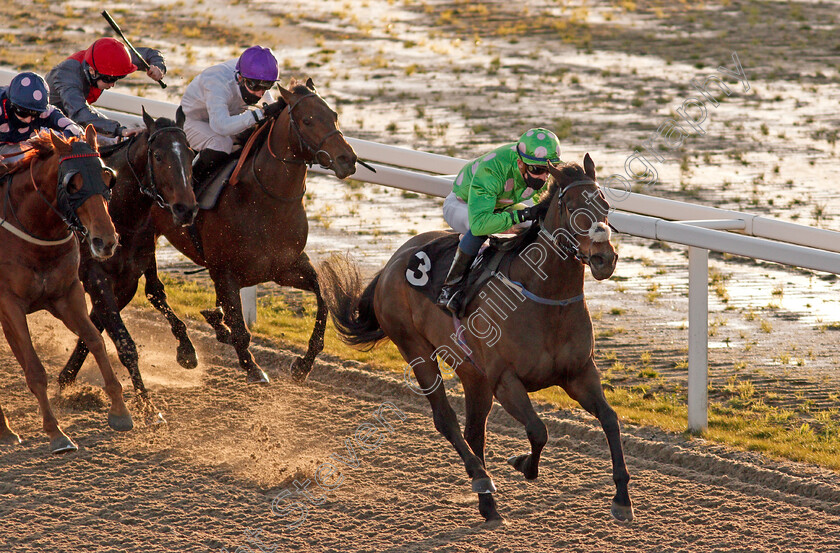 Passional-0007 
 PASSIONAL (Luke Catton) wins The tote Placepot Your First Bet Apprentice Handicap
Chelmsford 18 Feb 2021 - Pic Steven Cargill / Racingfotos.com