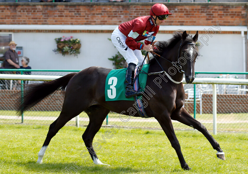 Prince-Elzaam-0002 
 PRINCE ELZAAM (Daniel Tudhope) before winning The Racing Welfare Racing Staff Week Novice Auction Stakes
Thirsk 4 Jul 2018 - Pic Steven Cargill / Racingfotos.com